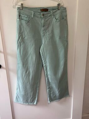 Judy Blue soft blue/mint color, Cropped Raw-Hem Jeans